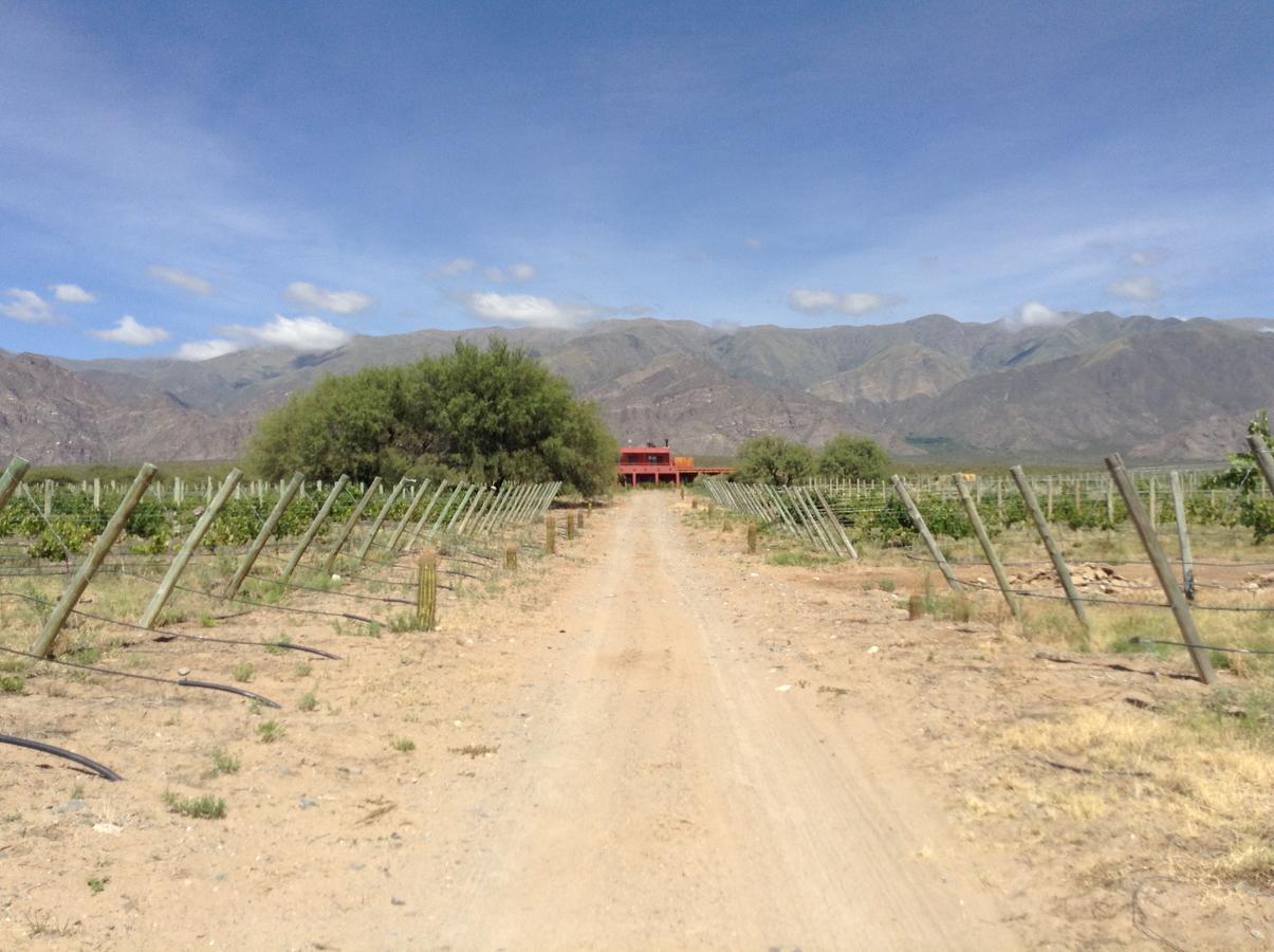 Fuerte Quemado Finca Albarossaゲストハウス エクステリア 写真